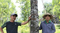 Xây dựng thương hiệu hương trầm “xanh”