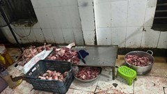 Phát hiện, tiêu hủy hơn 1 tấn thịt lợn không rõ nguồn gốc