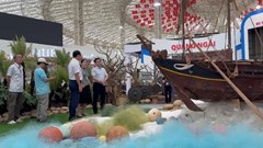 Kiểm tra trưng bày Triển lãm “Quảng Ngãi – Cội nguồn cách mạng, vững bước tương lai”