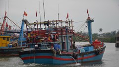 Cấm tàu thuyền ra biển hoạt động khi có gió mạnh từ cấp 6