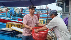 Hàng trăm tàu thuyền vào bờ tránh trú bão số 5