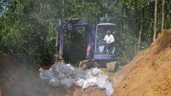 Quảng Ngãi tiêu hủy 800 con vịt mắc bệnh Cúm gia cầm H5N1