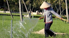 Đề xuất phương án cung cấp nước ngọt cho đặc khu Lý Sơn