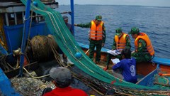 Bộ đội Biên phòng Quảng Ngãi kiên quyết xử lý tàu cá vi phạm chống khai thác IUU