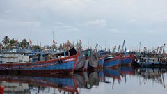 Quảng Ngãi chủ động triển khai ứng phó với bão Ragasa gần Biển Đông