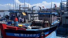 Xử phạt thuyền trưởng vi phạm khai thác thuỷ sản số tiền trên 680 triệu đồng