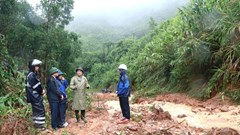Triển khai các giải pháp khắc phục tình trạng sạt lở, đảm bảo lưu thông an toàn