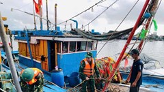 Quảng Ngãi khẩn trương thực hiện các biện pháp ứng phó bão Kalmaegi