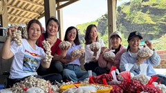 Quảng bá văn hóa, du lịch Lý Sơn thông qua câu chuyện kể về cây tỏi