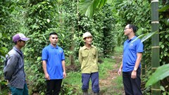 “Chìa khóa” cho lao động nông thôn