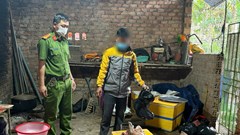 Phát hiện hộ gia đình mua bán lợn chết, giết mổ đưa ra thị trường