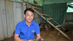 Thanh niên chủ động phát triển kinh tế từ mô hình quy mô nhỏ