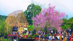 Quảng Ngãi đạt 3.700 tỉ đồng doanh thu từ du lịch 