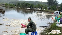 Khẩn trương xử lý số dầu tràn nguy cơ gây ô nhiễm môi trường ở xã Vạn Tường