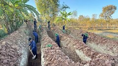 Đội K53 tìm kiếm, quy tập thêm 4 hài cốt liệt sĩ tại Lào và Campuchia