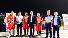 Phố đêm Sông Trà – Điểm hẹn mới du lịch đêm ở Quảng Ngãi