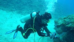 Điều chỉnh khu bảo tồn biển, mở lối phát triển bền vững ở đặc khu Lý Sơn