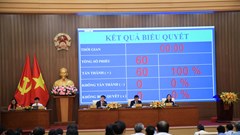 Quảng Ngãi chuyển đổi gần 83ha rừng phục vụ dự án Khu đô thị 6.600 tỉ đồng tại Măng Đen