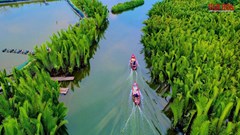 Khi làng quê trở thành điểm chạm cảm xúc