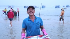 Chợ cá ven biển Quảng Ngãi tấp nập dịp lễ 