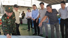 Quảng Ngãi tập trung phát triển cảng biển, logistics và du lịch bền vững