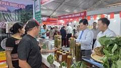 Phát triển OCOP gắn với du lịch nông thôn và chuyển đổi số 