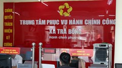 Quảng Ngãi tạm dừng tiếp nhận cán bộ, công chức từ cấp xã lên cấp tỉnh