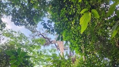Hơn 20 giờ nỗ lực đưa người gặp nạn từ rừng sâu trở về với gia đình