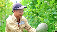Xã Đông Sơn gặt “trái ngọt” từ chuyển đổi cây trồng