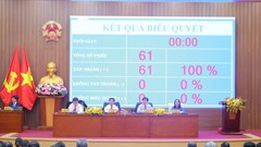 Quảng Ngãi hoàn thiện chính sách đãi ngộ, tạo động lực cho HLV và VĐV