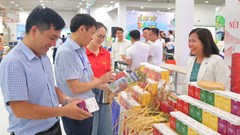 Quảng Ngãi tổ chức chuỗi sự kiện lớn, mở rộng cơ hội hợp tác, đầu tư và phát triển du lịch