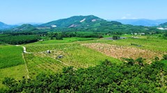 Quảng Ngãi xếp hạng hai di tích gắn với lịch sử cách mạng
