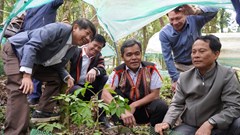 Đánh thức giá trị dược liệu, mở rộng không gian du lịch Quảng Ngãi
