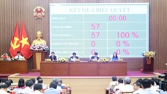 HĐND tỉnh Quảng Ngãi thông qua nguồn lực hơn 304 tỉ đồng phát triển văn hoá