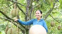 Người dân miền núi mạnh dạn chuyển đổi cây trồng