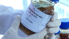 Quảng Ngãi chỉ đạo khẩn sau vụ nghi ngộ độc bánh mì, 135 bệnh nhân đang điều trị