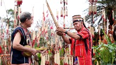 Quảng Ngãi triển khai nhiều hoạt động hưởng ứng Ngày Văn hóa Việt Nam 24.11