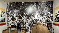 Giới thiệu hơn 300 hình ảnh, tài liệu, hiện vật tiêu biểu 