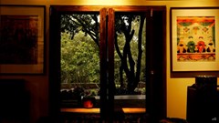 KTS Nguyễn Hà mang Bảo tàng Đạo mẫu đến “The World Around 2024”