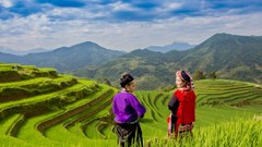 Mê mẩn cảnh sắc ruộng bậc thang Hoàng Su Phì