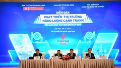 Phát triển thị trường năng lượng cạnh tranh đến năm 2030, tầm nhìn đến năm 2045
