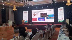 Âm nhạc thị trường khai thác chất liệu văn hoá truyền thống: Ghi nhận xen lẫn nỗi lo