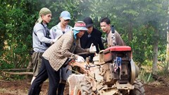 Vì sao “Gia đình Haha” trở thành hiện tượng và “gây bão” trên màn ảnh?