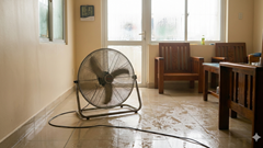 Trời nồm ẩm có nên “giải cứu” bằng cách bật quạt, mở cửa?