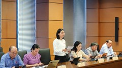 Đại biểu Quốc hội đánh giá cao Chương trình mục tiêu quốc gia về phát triển văn hóa 