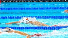 Hà Thị Linh dừng bước, Huy Hoàng không thể đi tiếp nội dung 800m tự do