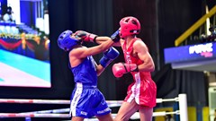 Kickboxing Việt Nam vào chung kết 22 nội dung tại Giải châu Á