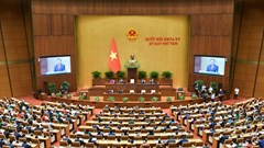 Khai mạc kỳ họp thứ 8, Quốc hội khoá XV