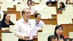 Cần có cơ chế đặc biệt cho các Trung tâm văn hóa Việt Nam tại nước ngoài