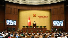 Tạo điều kiện thuận lợi cho hoạt động quảng cáo phát triển